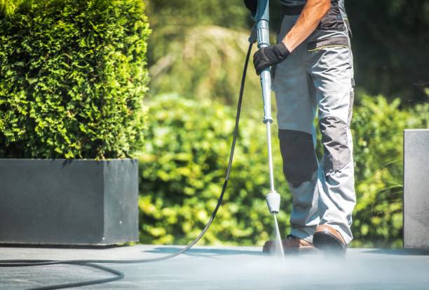 Best Sidewalk and Walkway Cleaning  in Mahtomedi, MN