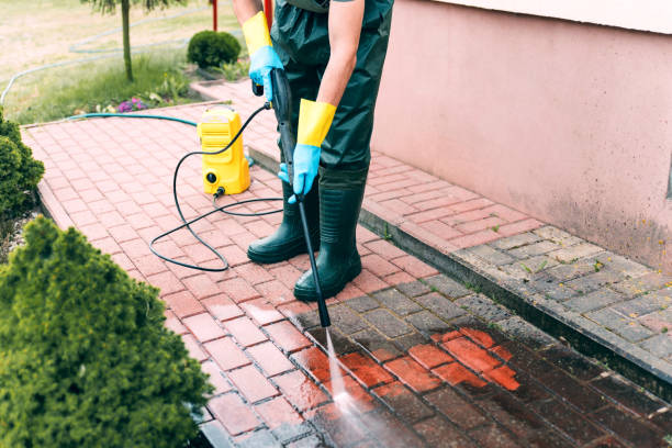 Best Fence Cleaning  in Mahtomedi, MN